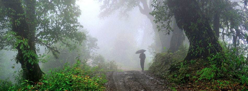 Neora Valley National Park